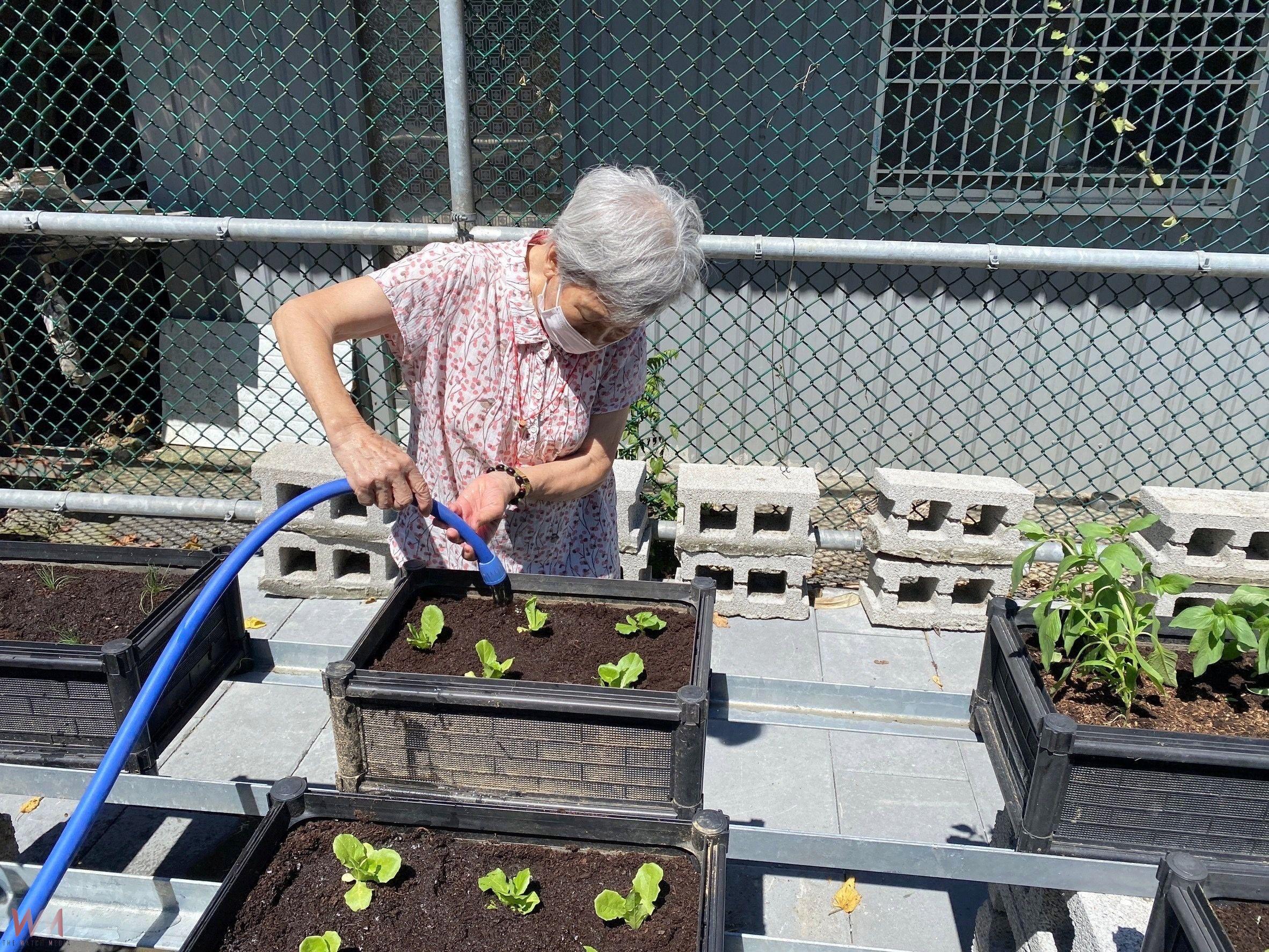 雙湖神鵰俠侶投入農村綠陪伴　芳香-綠療育助長輩提升量能撫慰心靈 - https://www.watchmedia01.com