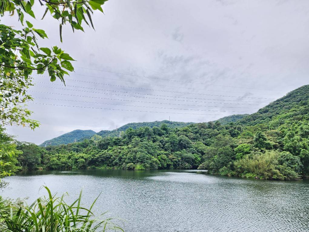 營造白匏湖生態園區、改善康寧街三期道路　侯友宜：打造友善居住環境 - https://www.watchmedia01.com