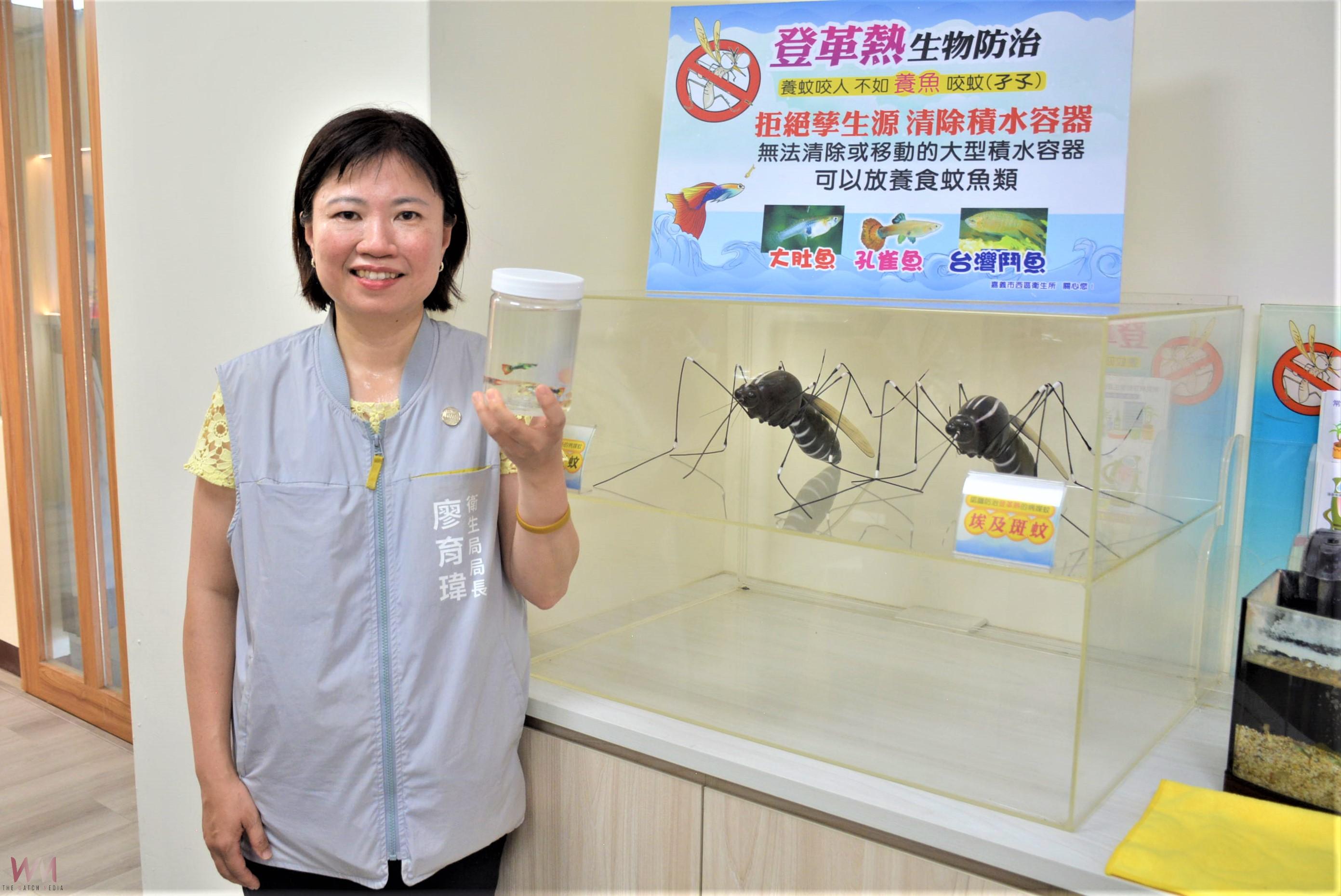 預防災後疫病孳生　嘉義市全面提高警「孓」 - https://www.watchmedia01.com