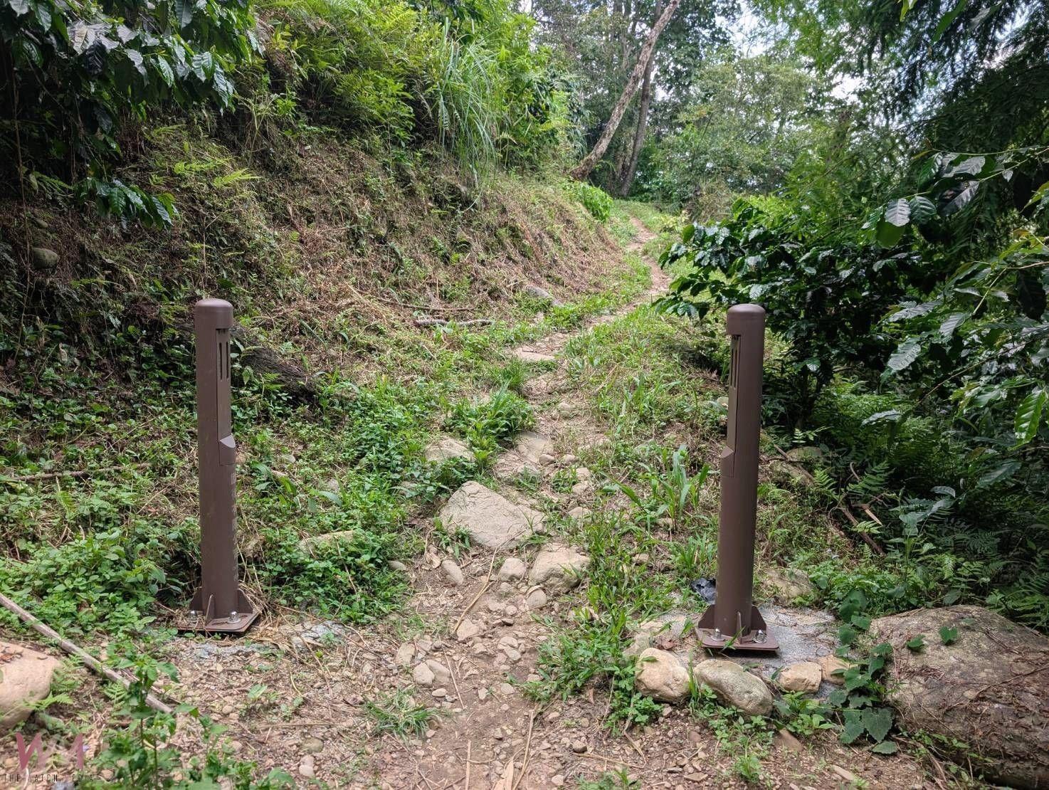 登山口設置雙向人員流量計數器　林業署臺中分署：有效掌握健行承載量 - https://www.watchmedia01.com