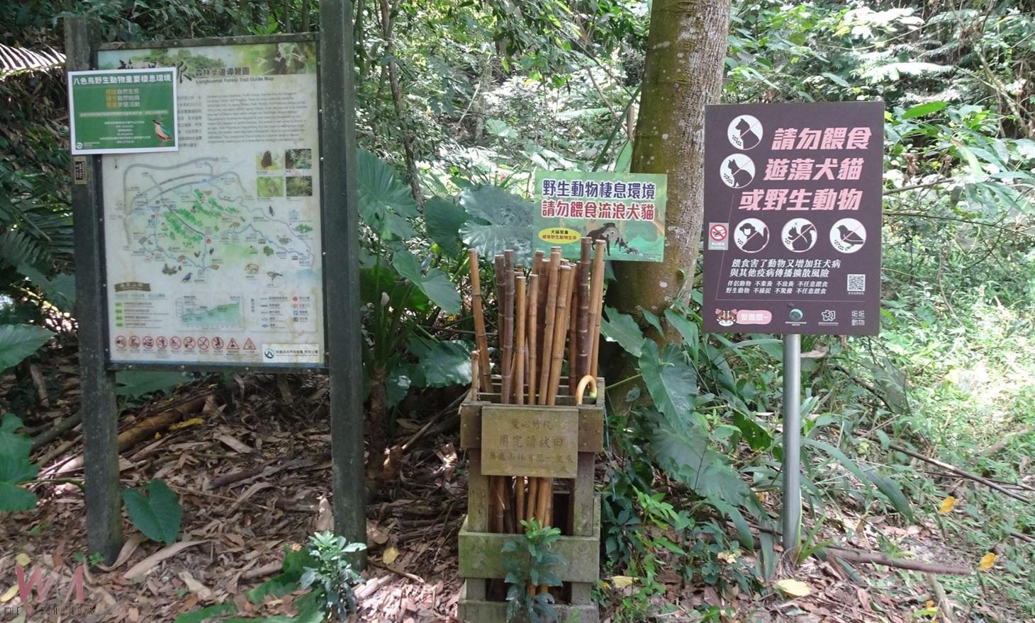 企業捐百支愛心竹杖 助登龍過脈步道更安全 - https://www.watchmedia01.com