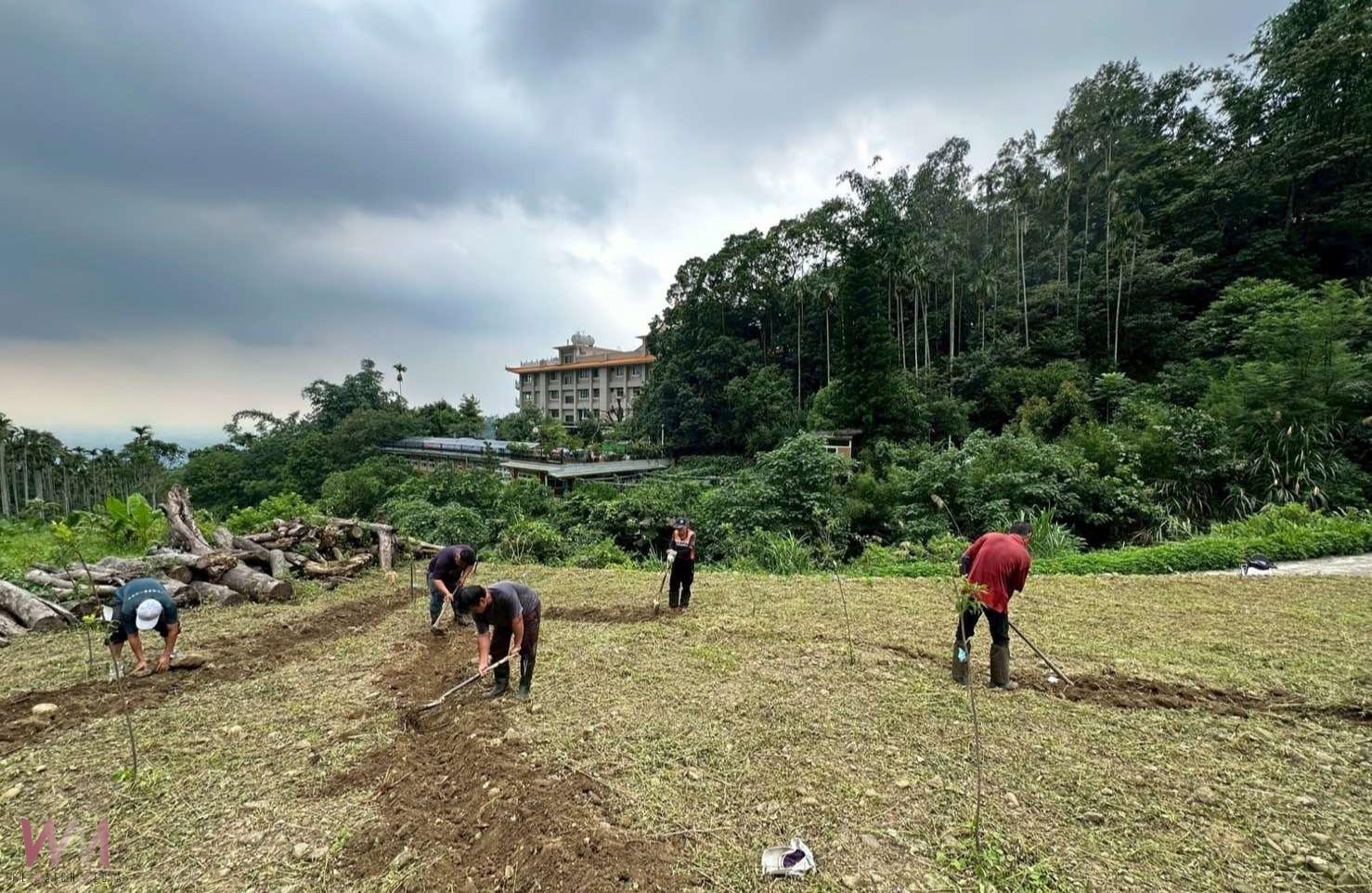 雲林新增大湖底賞螢區 打造螢火蟲生態教育亮點 - https://www.watchmedia01.com
