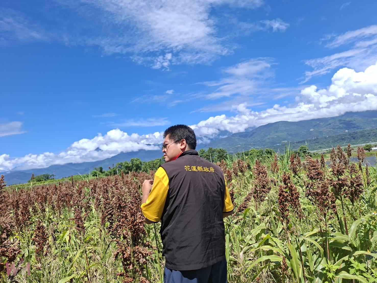 花蓮縣政府聯手中央守護農民權益 鄉鎮納入現金救助地區 - https://www.watchmedia01.com