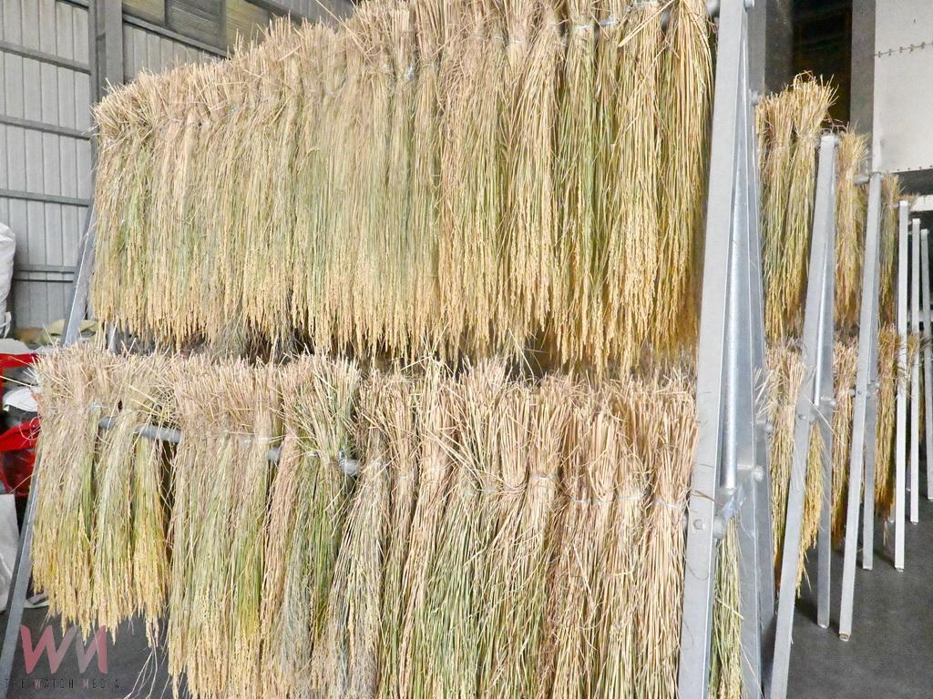 愷式好米推出爵餉米 重現古早農法掀起米食新風潮 - https://www.watchmedia01.com