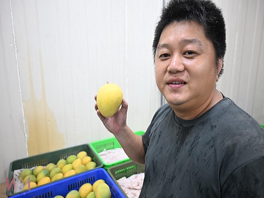 從上班族變身冠軍果農 114年金蜜芒果金牌得主陳正杰一路成長都是努力 - https://www.watchmedia01.com
