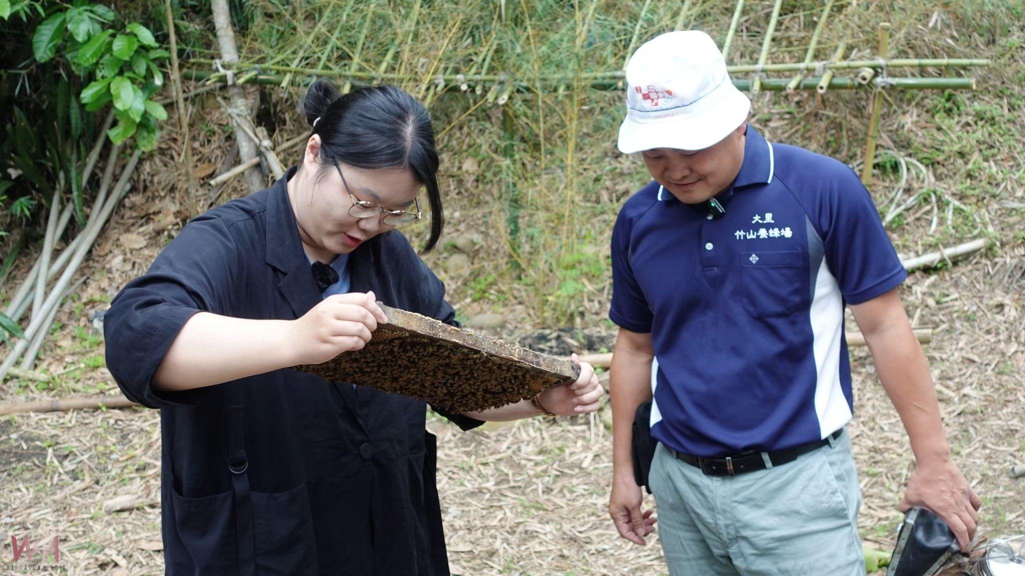 打造農村新方向！興大農學院《BEEIN蜜韾》　結合在地蜂農與果農行銷竹仔坑 - https://www.watchmedia01.com
