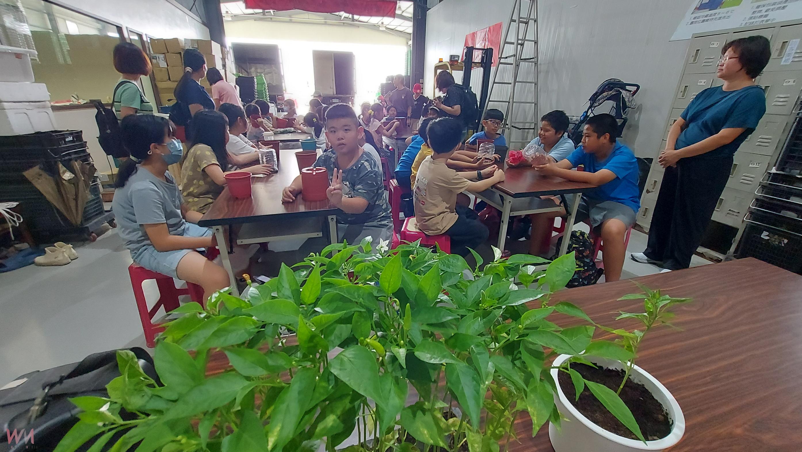（有影片）／夏日英語不打烊　福德國小英語農場體驗課　翻轉暑期學習模式 - https://www.watchmedia01.com