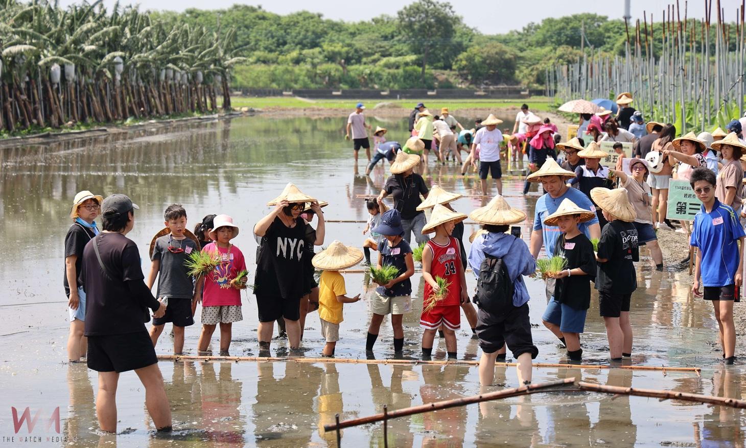 西螺親子插秧體驗熱鬧登場　張麗善盼傳承農業文化與惜食精神 - https://www.watchmedia01.com