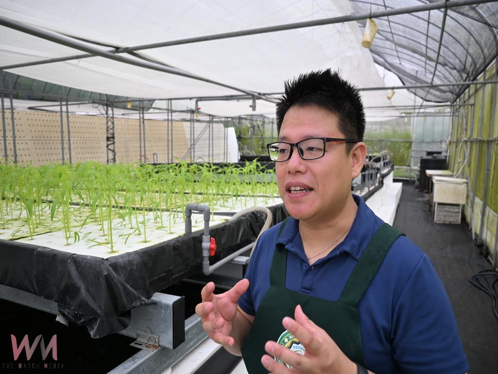 台大醫學博士江啟峰推動魚菜共生 從醫學研究到種菜養魚 - https://www.watchmedia01.com