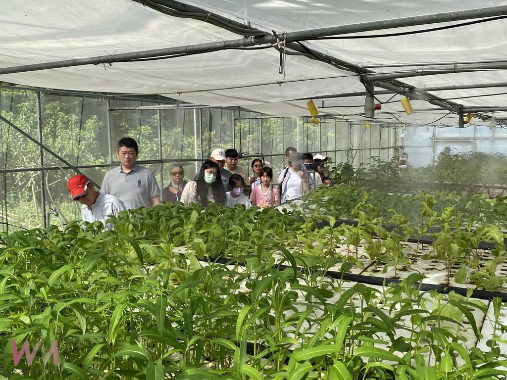 台大醫學博士江啟峰推動魚菜共生 從醫學研究到種菜養魚 - https://www.watchmedia01.com