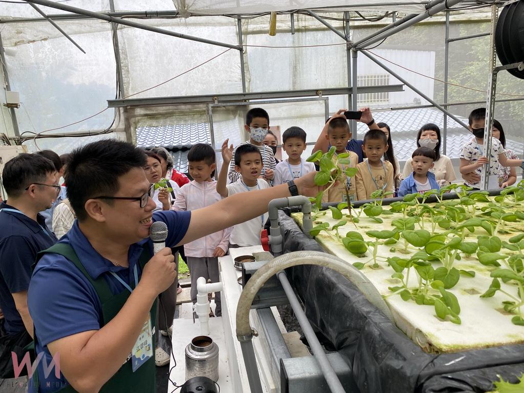 台大醫學博士江啟峰推動魚菜共生 從醫學研究到種菜養魚 - https://www.watchmedia01.com