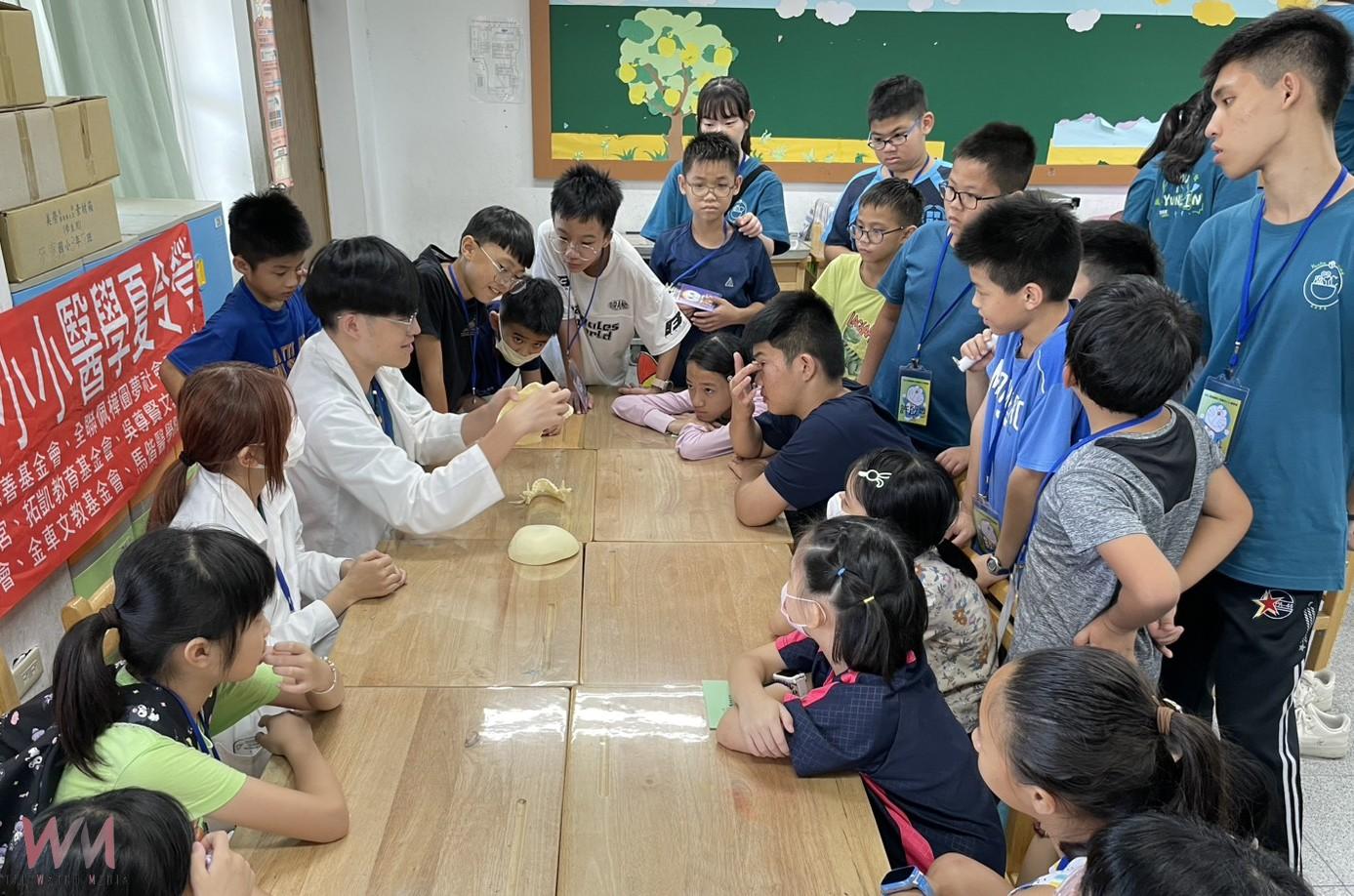 麥寮「馬偕小小醫學營」啟動　70童動手探索醫學奧秘 - https://www.watchmedia01.com