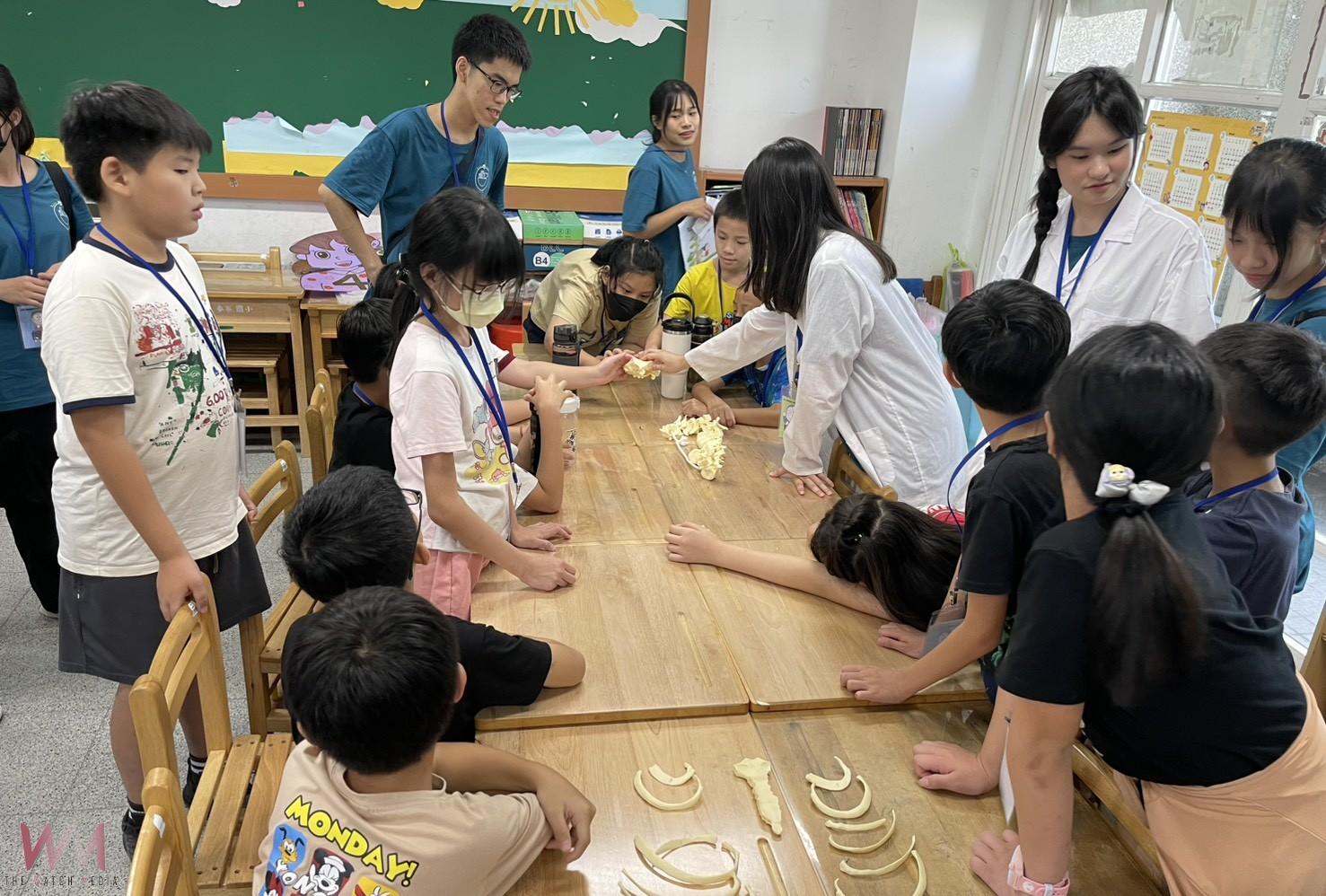 麥寮「馬偕小小醫學營」啟動　70童動手探索醫學奧秘 - https://www.watchmedia01.com