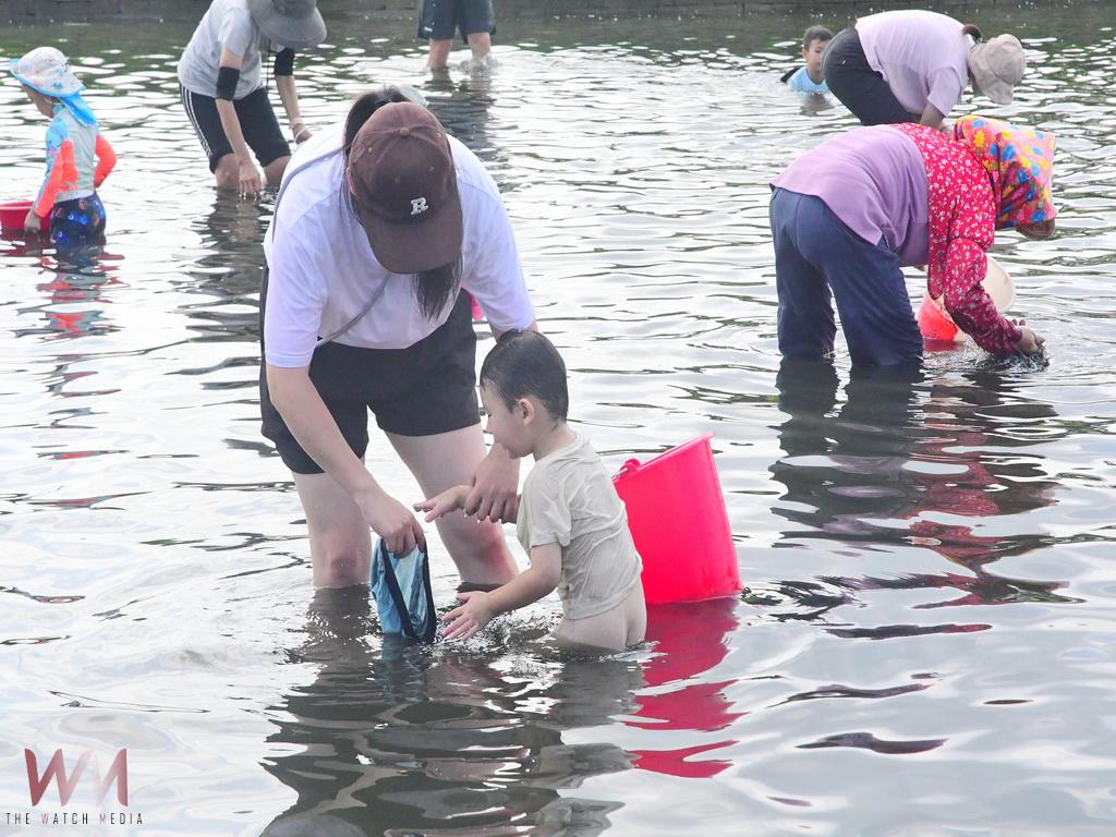 相招來大城作伙摸好蜆 陳儀興理事長邀遊客來到西南角體驗下水樂 - https://www.watchmedia01.com