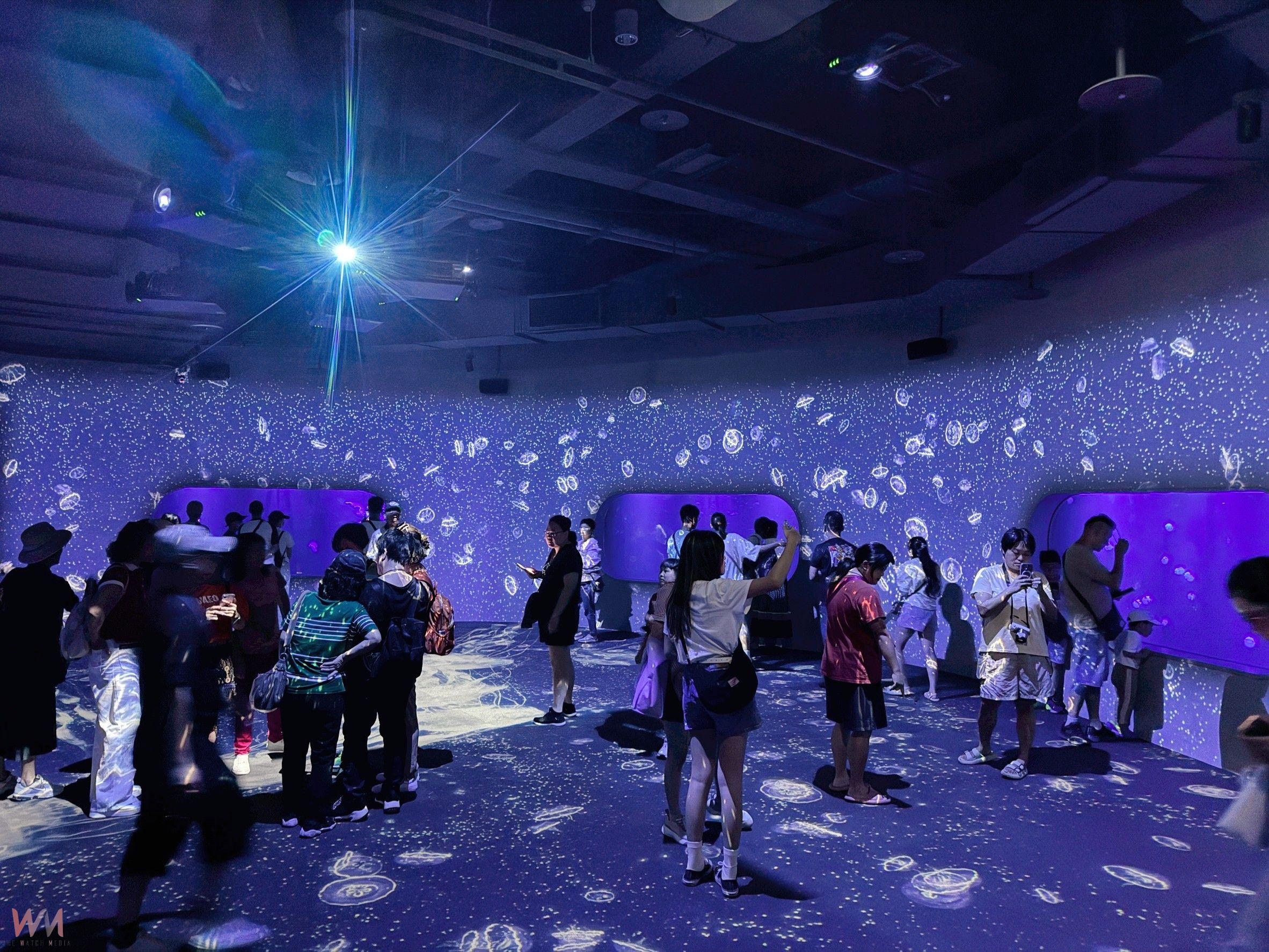台中海洋館8月21日開館 民眾熱情湧入見證六大首創亮點 - https://www.watchmedia01.com