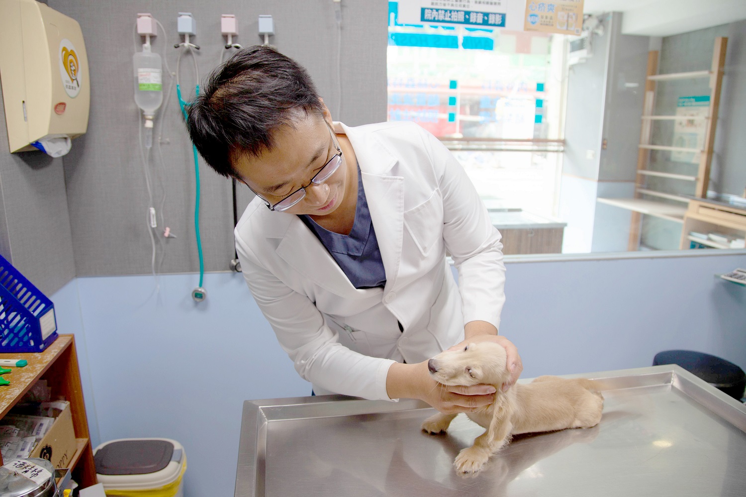 貼心好消息！DUDUPAY攜手中圓寵物家族 給毛孩最完整的守護 - https://www.watchmedia01.com