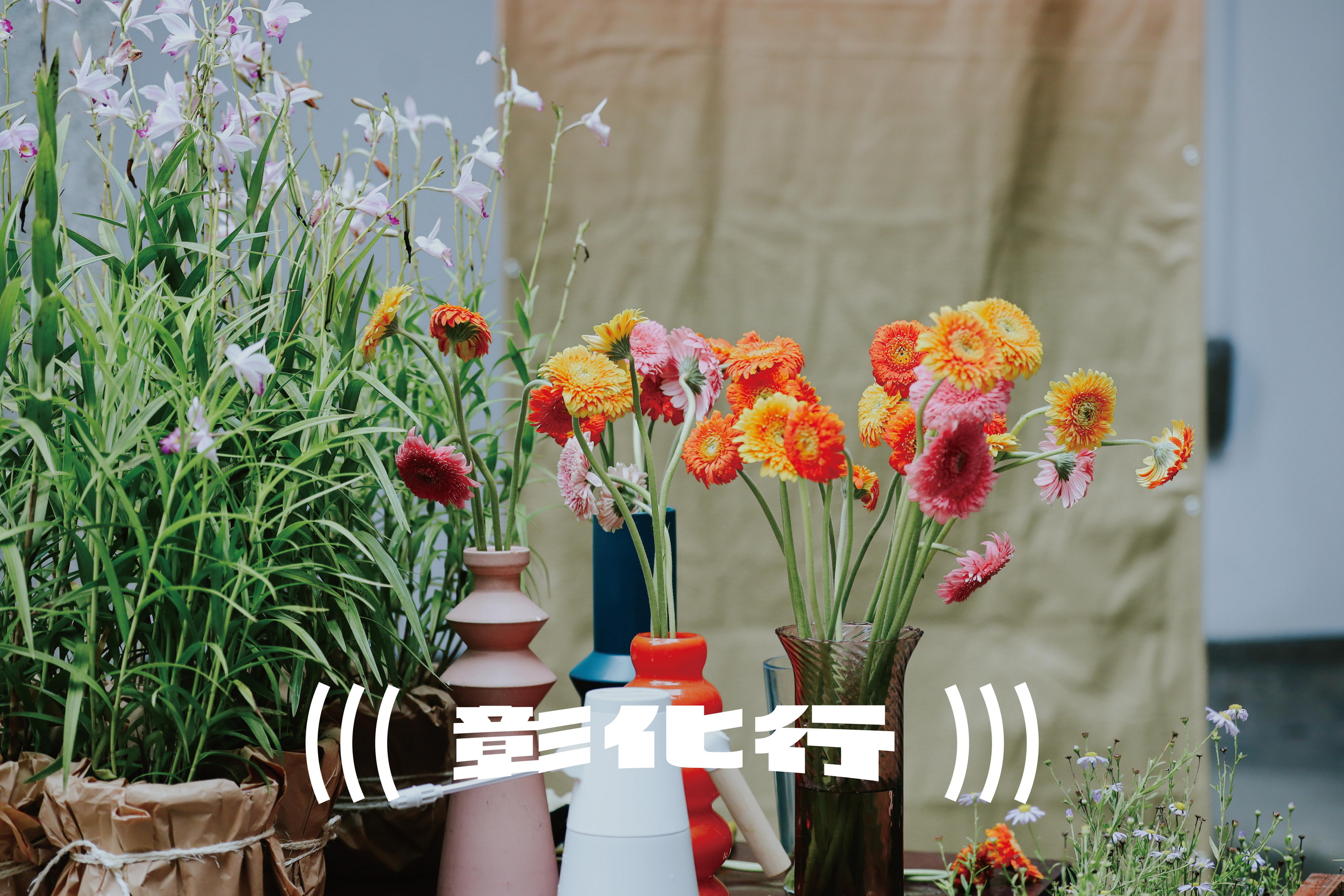 2025台灣設計展彰化行　王惠美化身大掌櫃帶觀眾探索百年文化 - https://www.watchmedia01.com