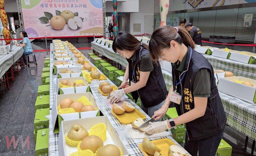 農友曾瑞東勇奪寶島甘露梨王　台中市寶島甘露梨果品評鑑結果揭曉 - https://www.watchmedia01.com