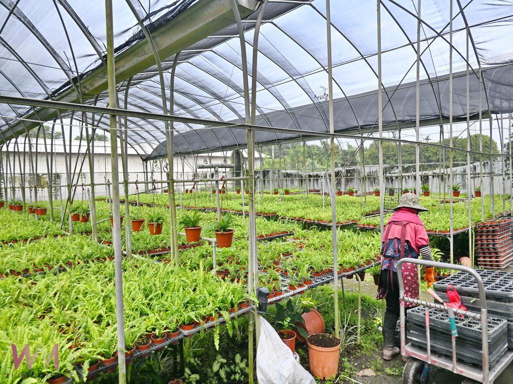師大數學系高材生願當作田郎 百大青農周家宏打造園藝產觀學新天地 - https://www.watchmedia01.com