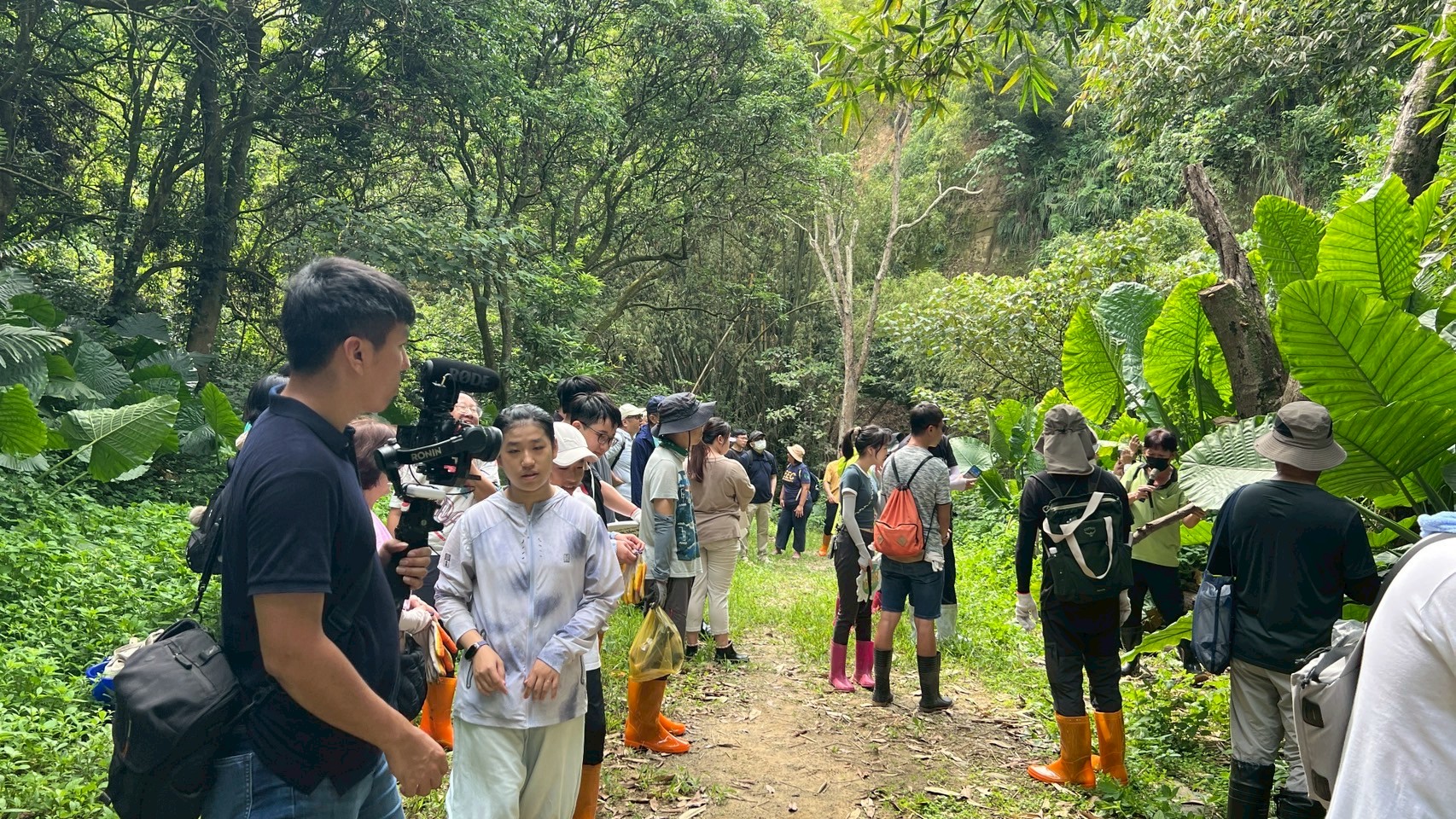 大葉大學USR攜手社區移除外來種大花曼陀羅　守護本土生態 - https://www.watchmedia01.com