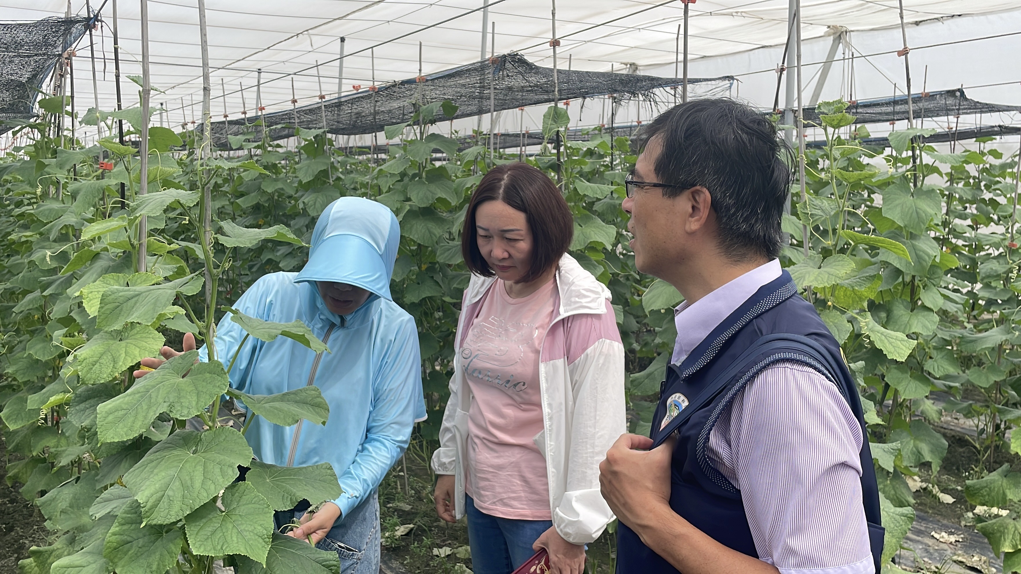 （有影片）／小黃瓜棚裡的築夢人生　福建新住民在大城落地生根的故事 - https://www.watchmedia01.com