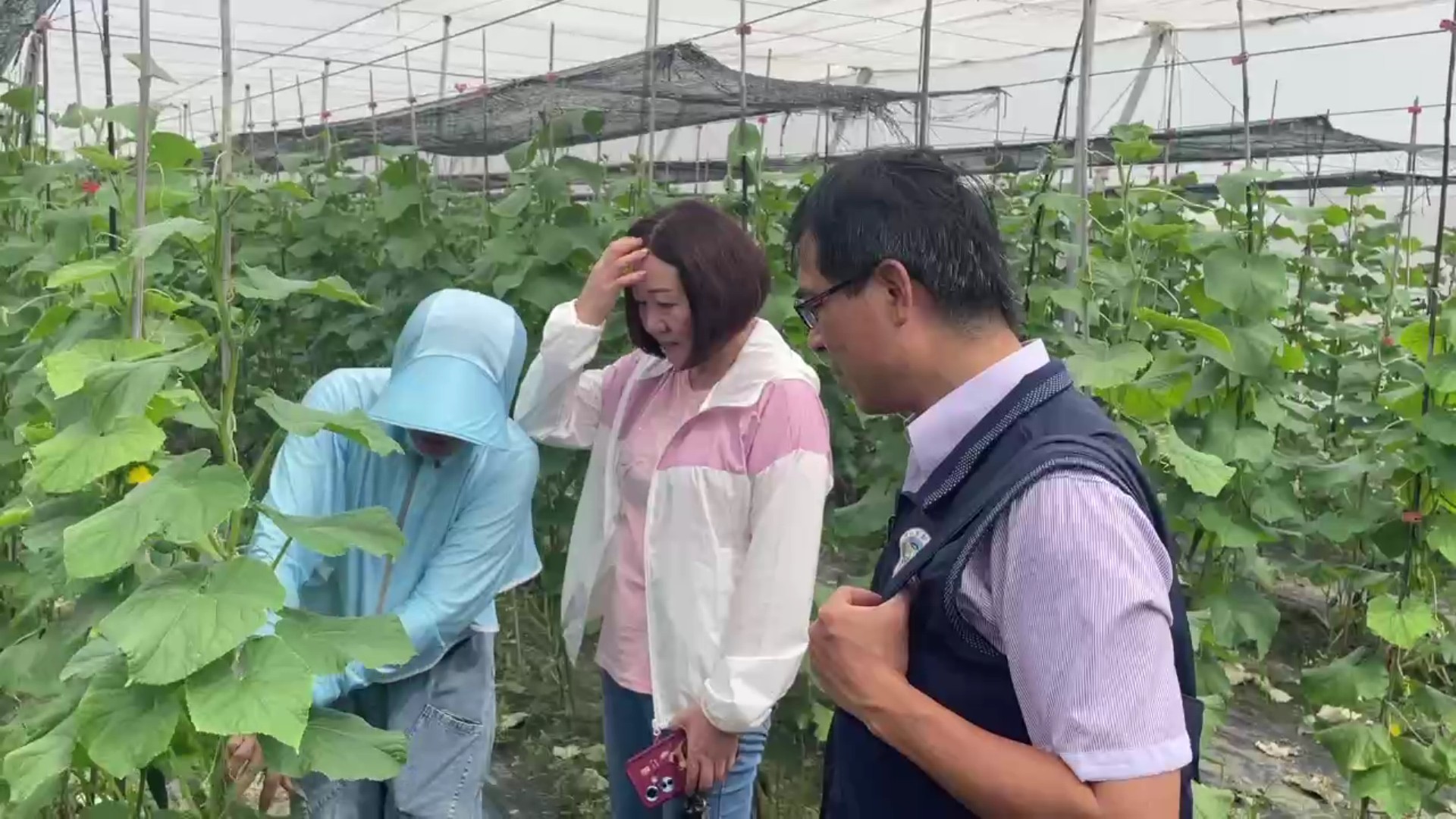 （有影片）／小黃瓜棚裡的築夢人生　福建新住民在大城落地生根的故事 - https://www.watchmedia01.com
