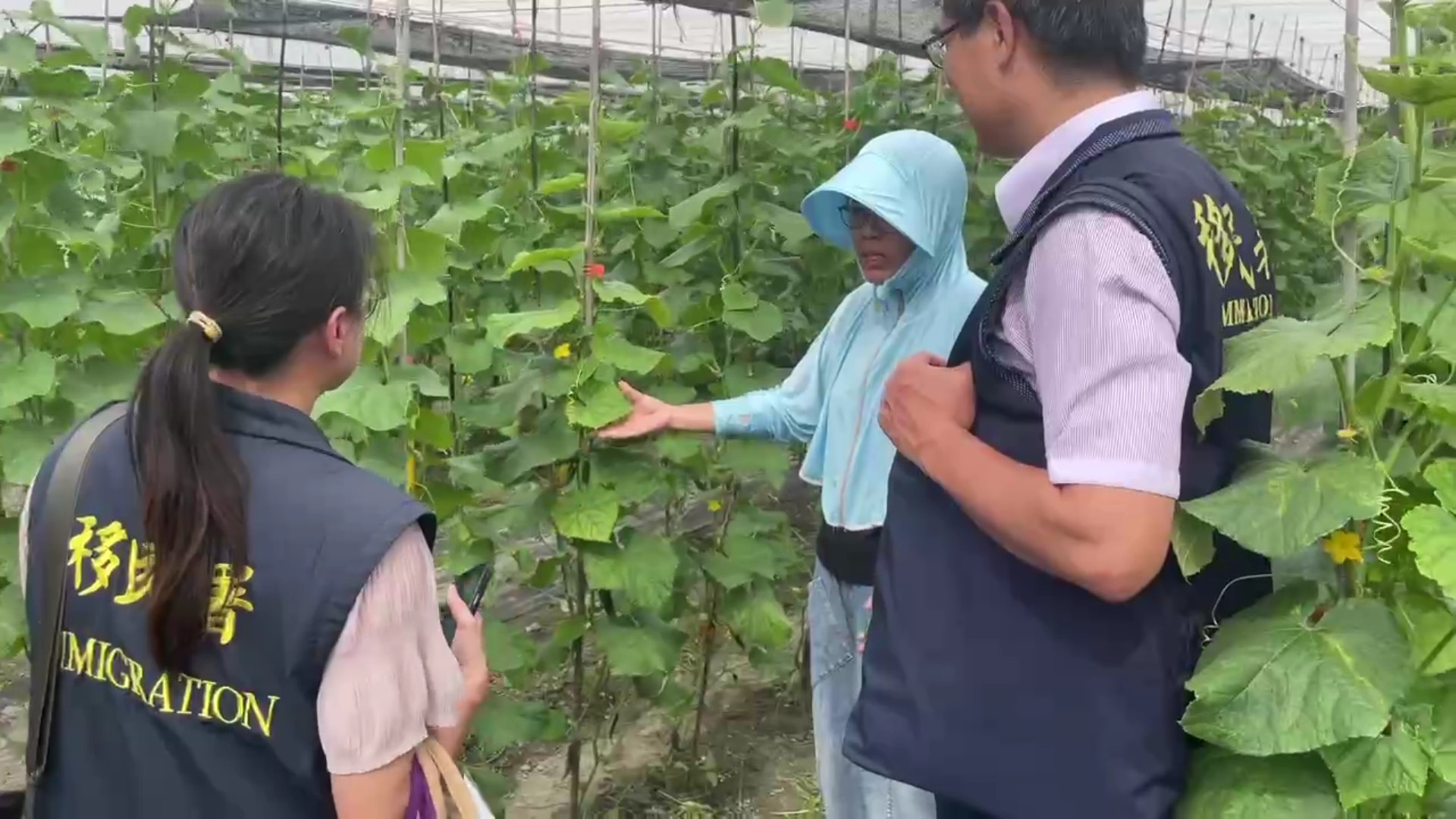 （有影片）／小黃瓜棚裡的築夢人生　福建新住民在大城落地生根的故事 - https://www.watchmedia01.com