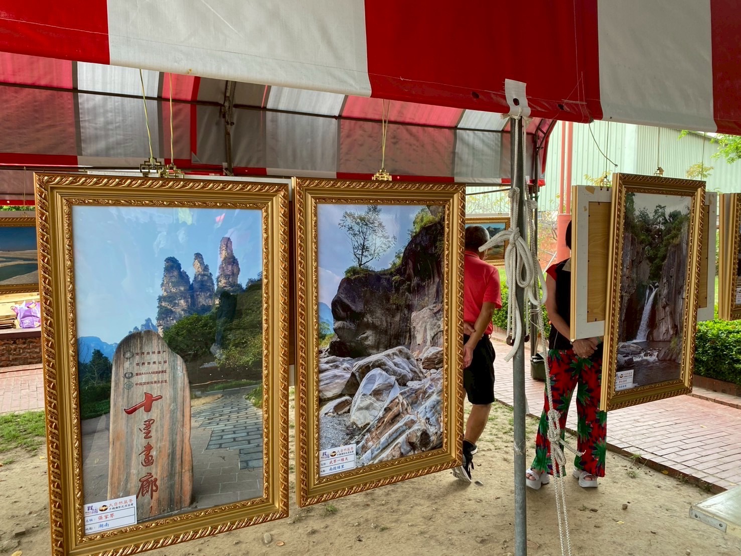 道東書院秋日盛會　手機攝影大賽結合音樂祭　光影太美了 - https://www.watchmedia01.com