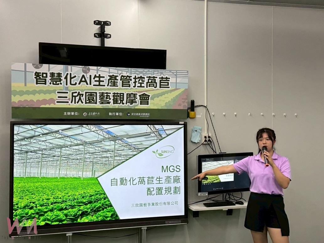 嘉義縣翻轉蔬菜產業     三欣園藝AI精準預測萵苣產量 - https://www.watchmedia01.com