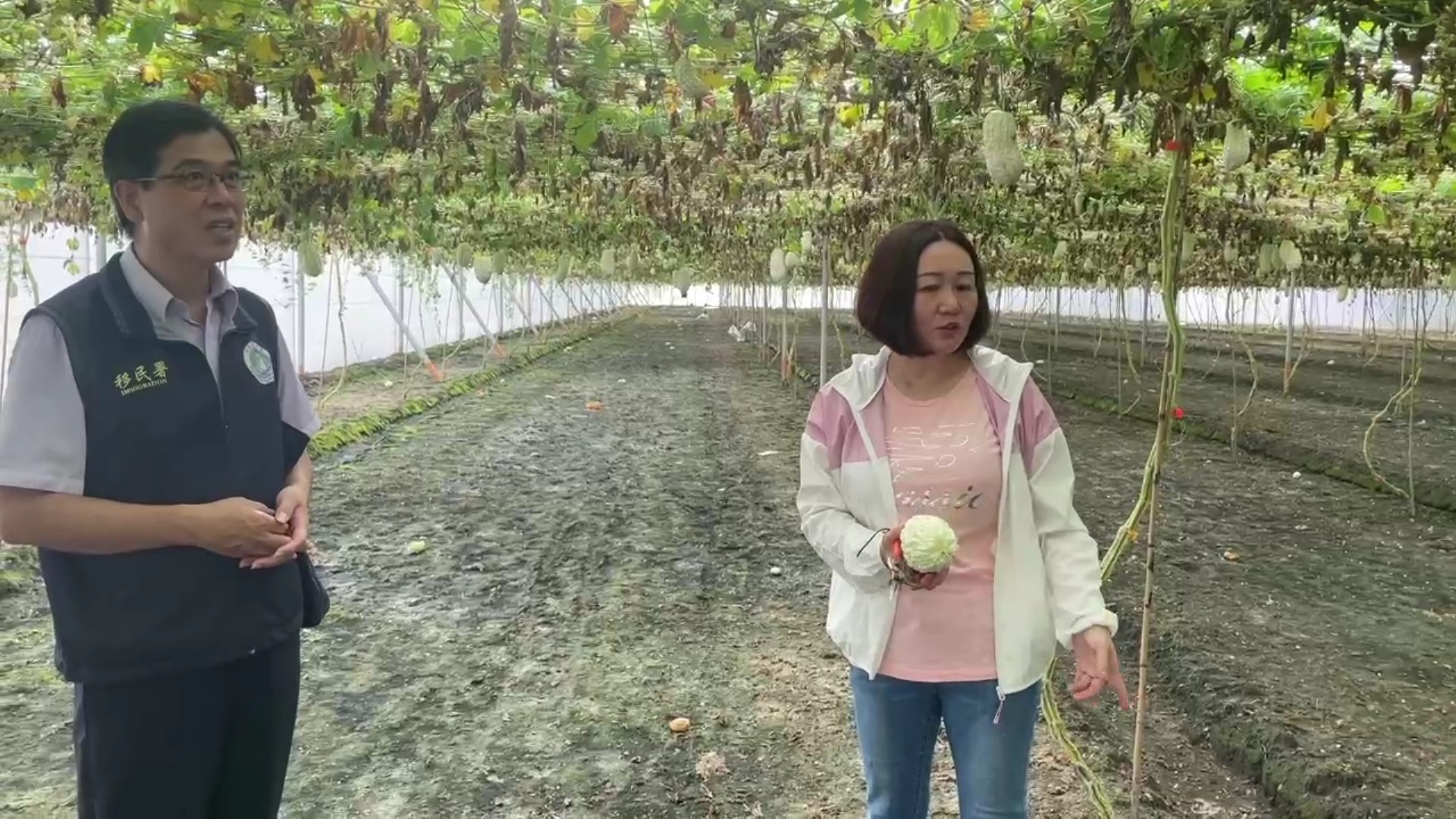 (有影片)/從醫護到田園 湖南新住民陳立云苦盡甘來的跨界人生 - https://www.watchmedia01.com