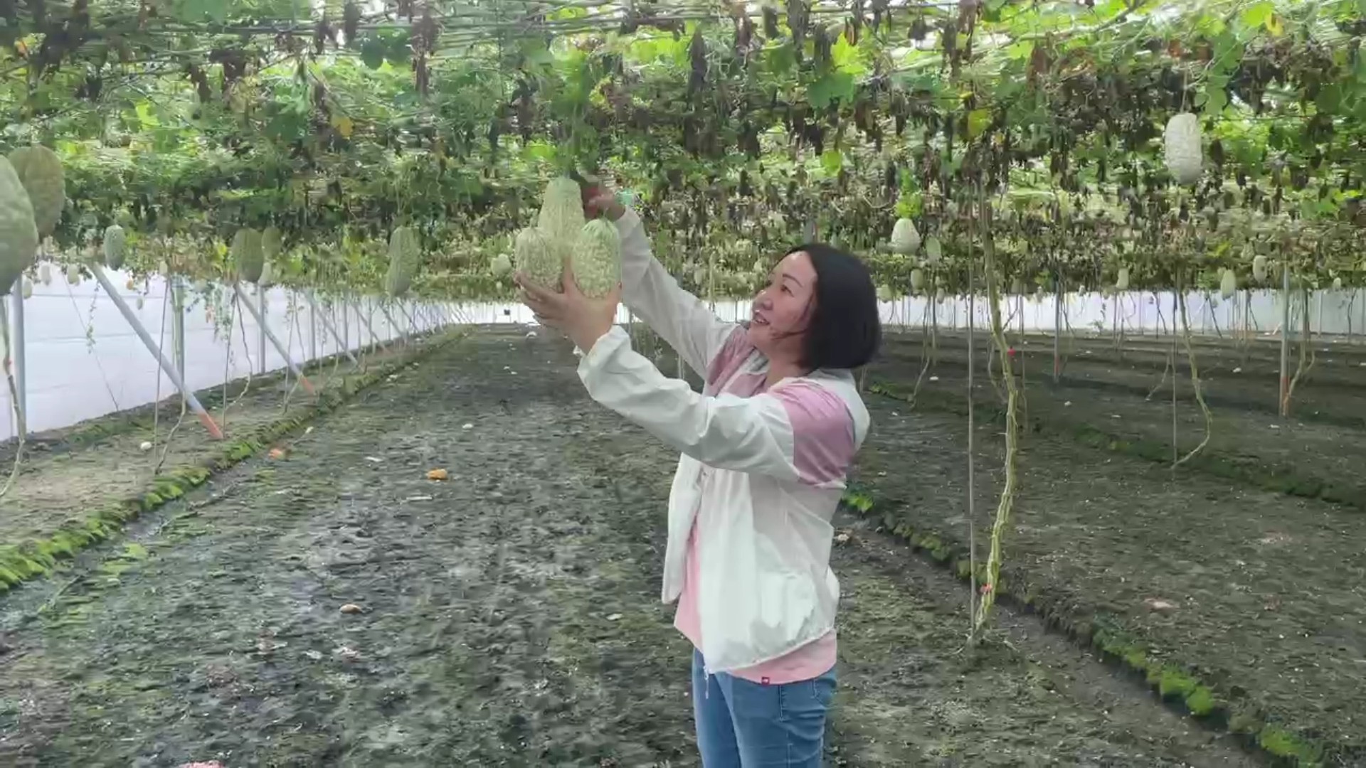 (有影片)/從醫護到田園 湖南新住民陳立云苦盡甘來的跨界人生 - https://www.watchmedia01.com