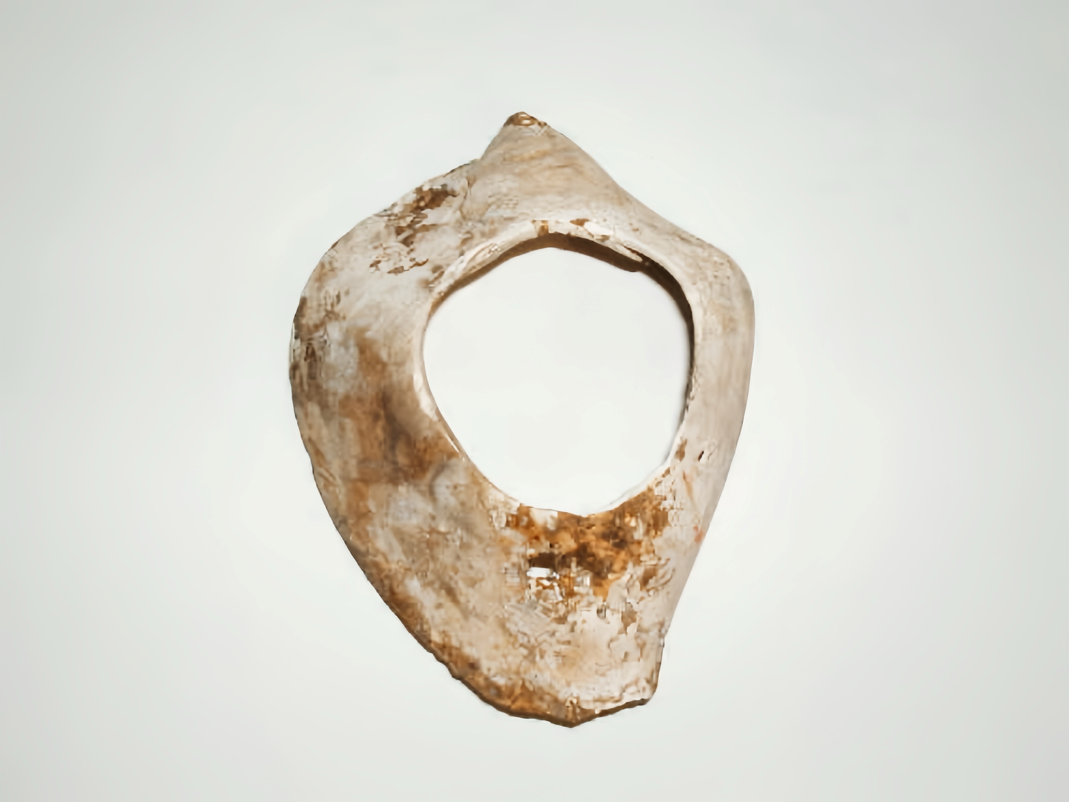 日本千年古物跨海重磅來臺 《靜土有聲》十三行博物館展出 - https://www.watchmedia01.com
