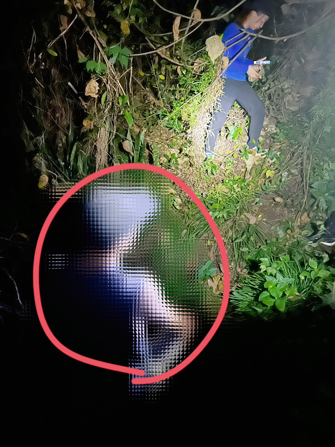 短褲男迷途半屏山！雲豹、消防、保七聯手搜救　專業戰力2小時破局 - https://www.watchmedia01.com