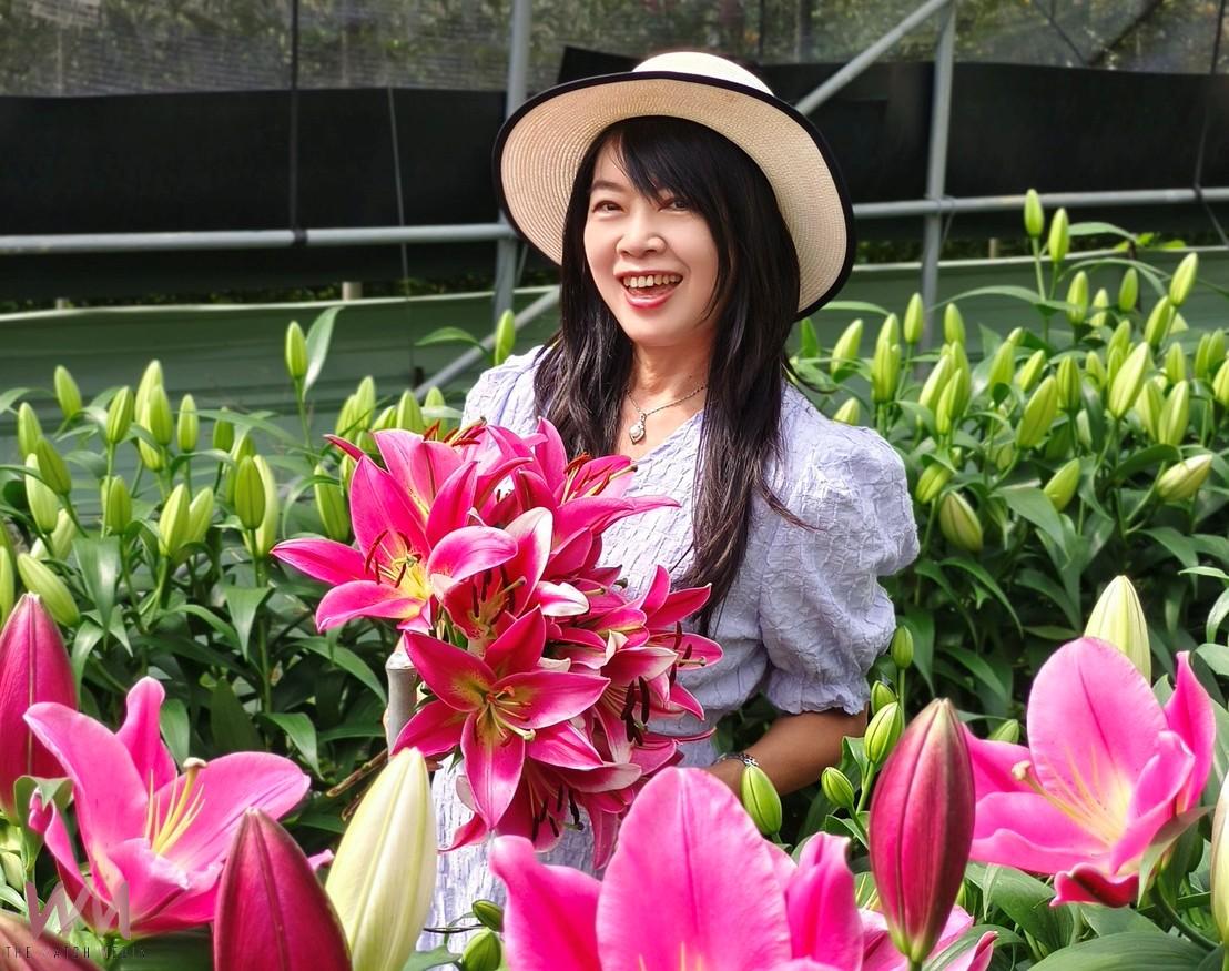 阿里山百合花季盛大登場　40種荷蘭新品種絢麗綻放 - https://www.watchmedia01.com