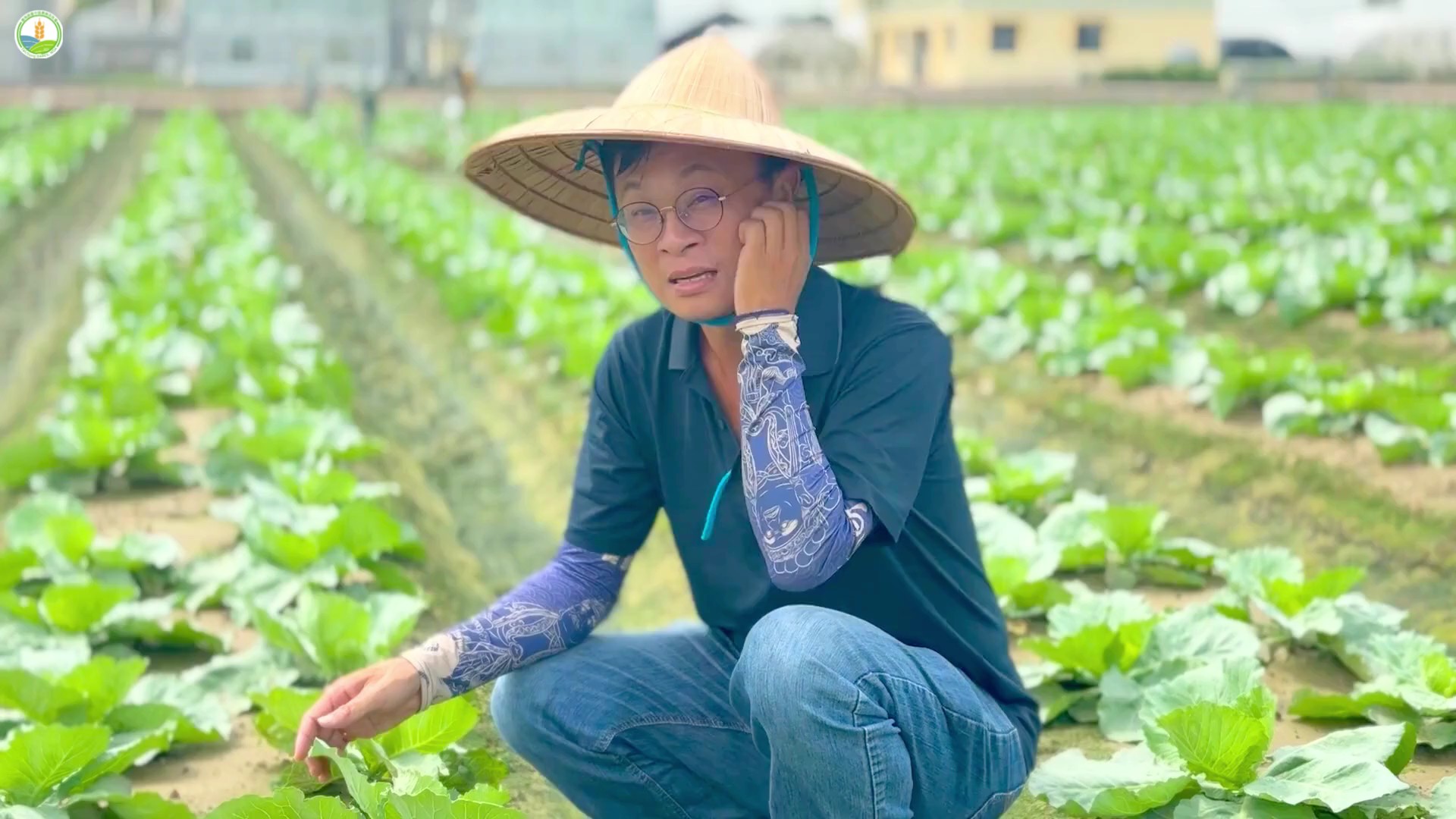 耐候微生物助蔬菜抗逆境 臺中農改場推抗逆蔬菜新技術 - https://www.watchmedia01.com