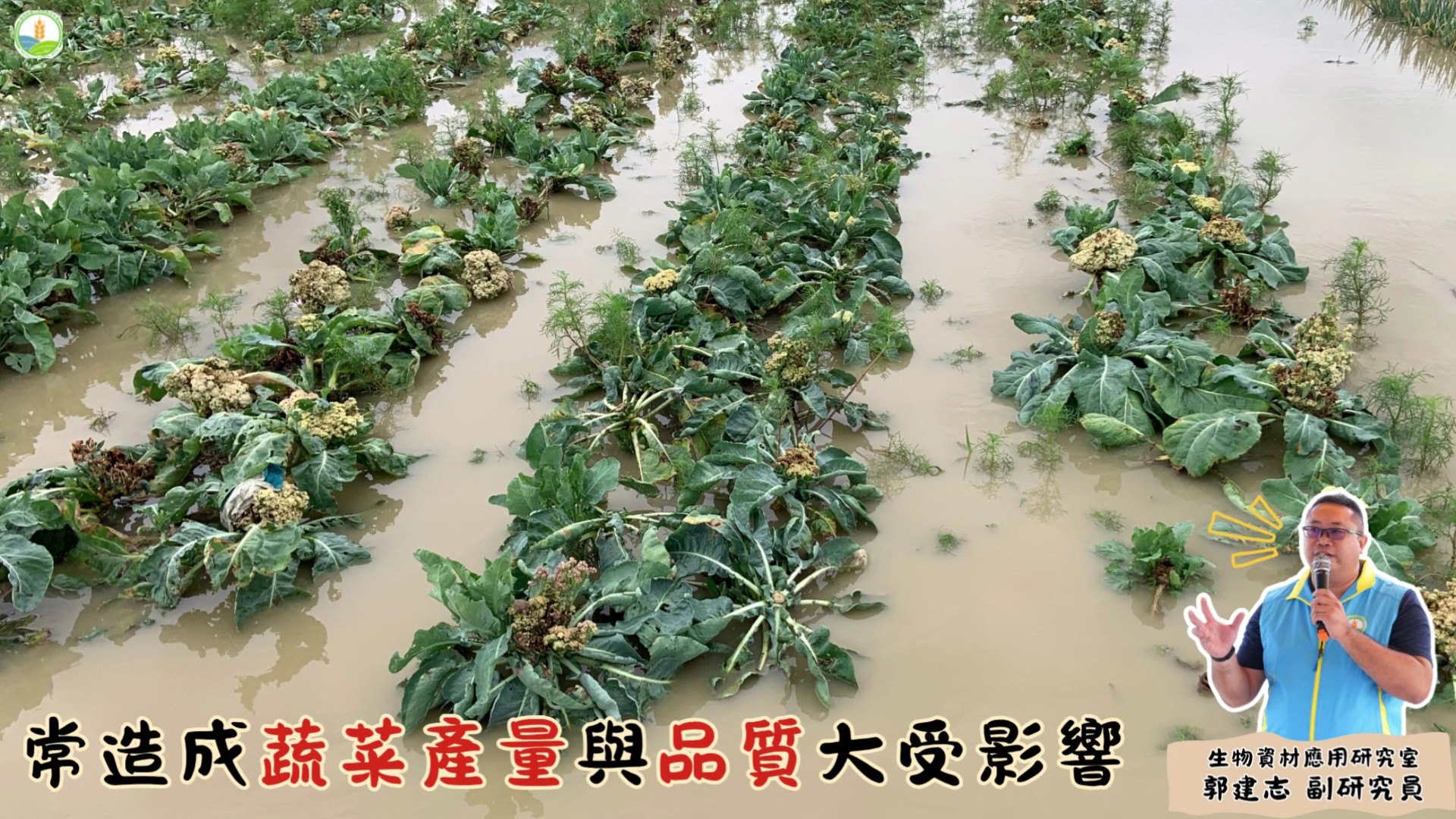 耐候微生物助蔬菜抗逆境　臺中農改場推抗逆蔬菜新技術 - https://www.watchmedia01.com