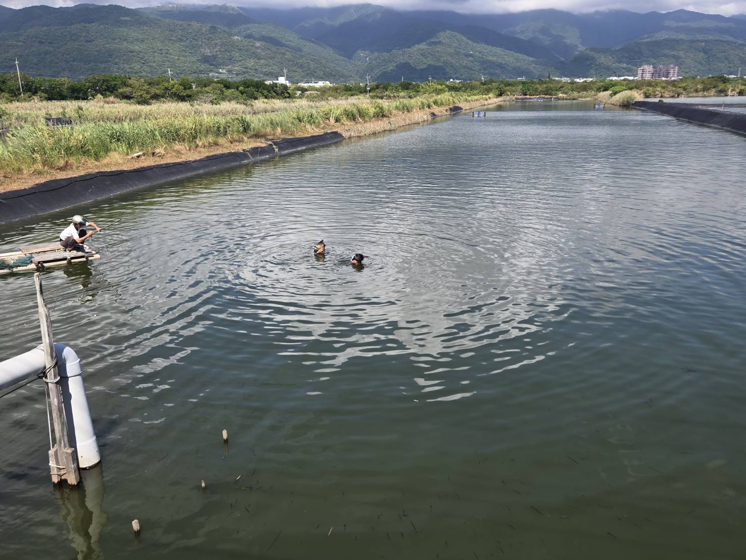 老翁濕地捕魚跌落魚塭 尋獲已明顯死亡 - https://www.watchmedia01.com