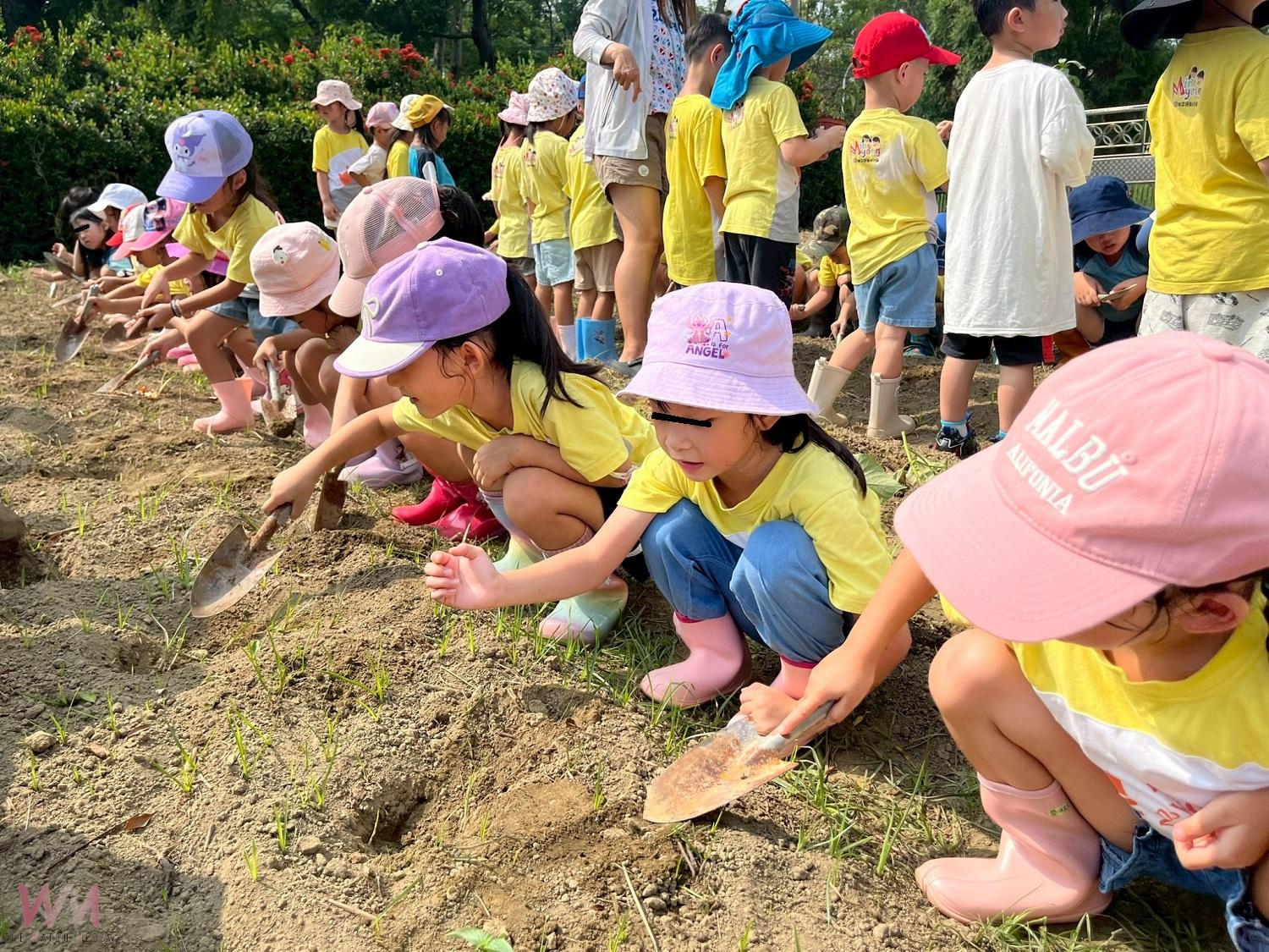 幼兒化身小農夫栽種蔬果 作中學體驗食農教育 - https://www.watchmedia01.com