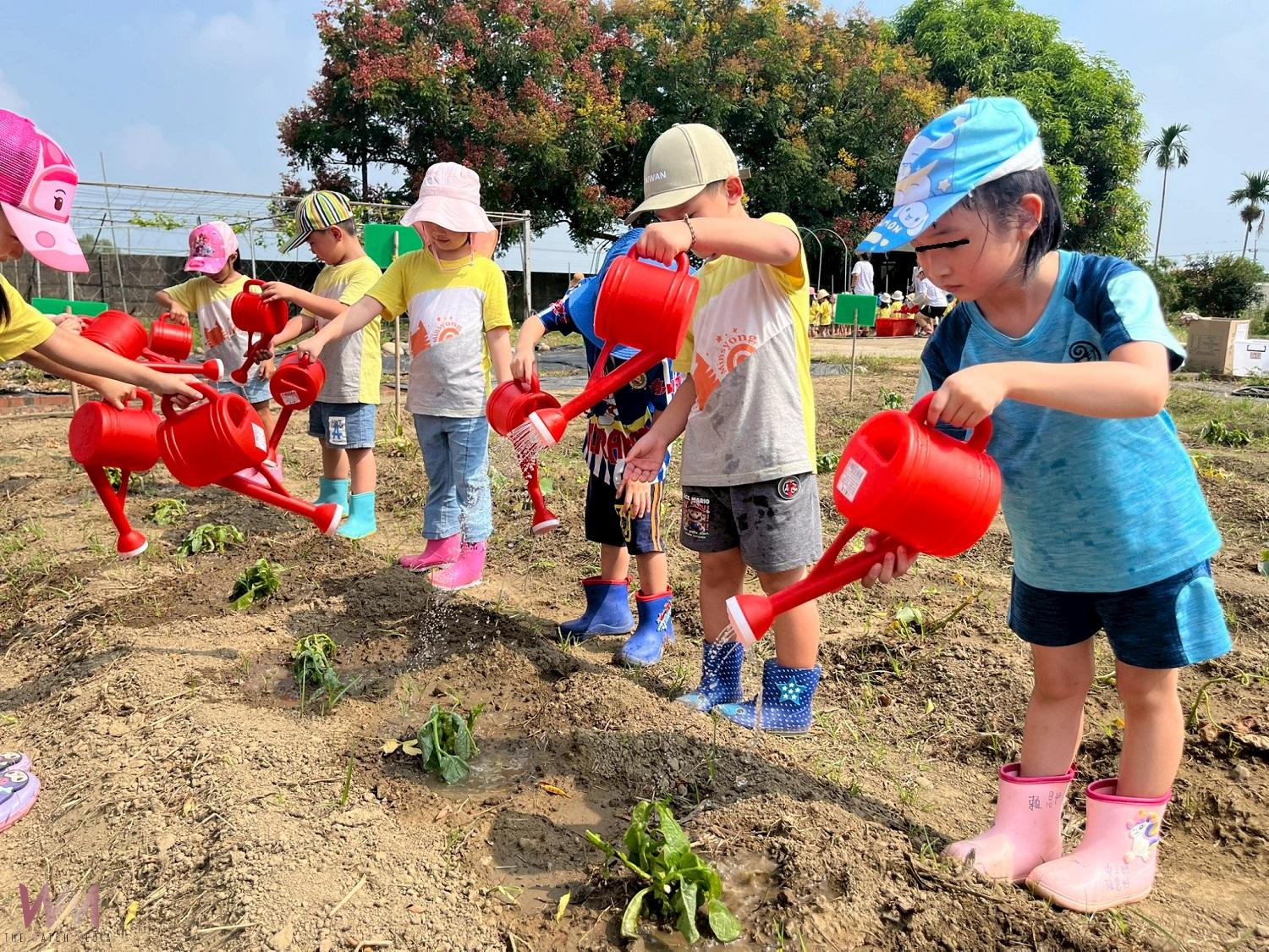 幼兒化身小農夫栽種蔬果 作中學體驗食農教育 - https://www.watchmedia01.com