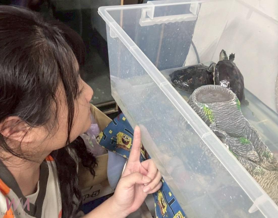 從愛寵到專利 中臺科大攜暨大附中創發「智能寵物評估系統」獲專利證書 - https://www.watchmedia01.com
