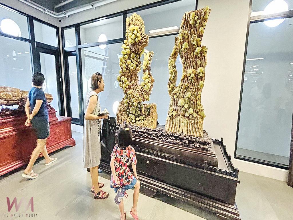 2025台灣設計展田尾展區超級明星登場 陳茂盛樹化玉博物館搶先曝光 - https://www.watchmedia01.com