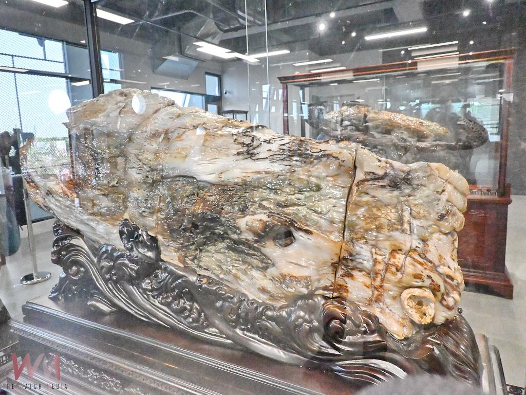 2025台灣設計展田尾展區超級明星登場 陳茂盛樹化玉博物館搶先曝光 - https://www.watchmedia01.com