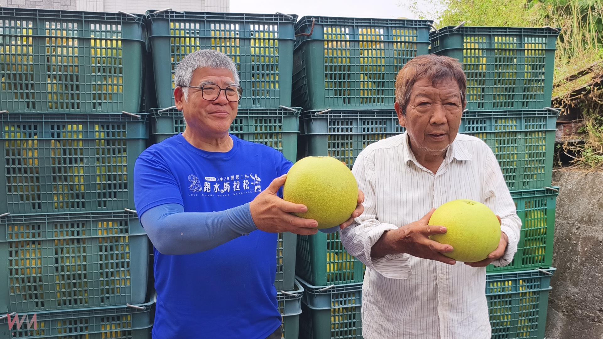 （有影片）／霜降採柚正當時　二水鄉白柚評鑑吸引28組農友比拚 - https://www.watchmedia01.com