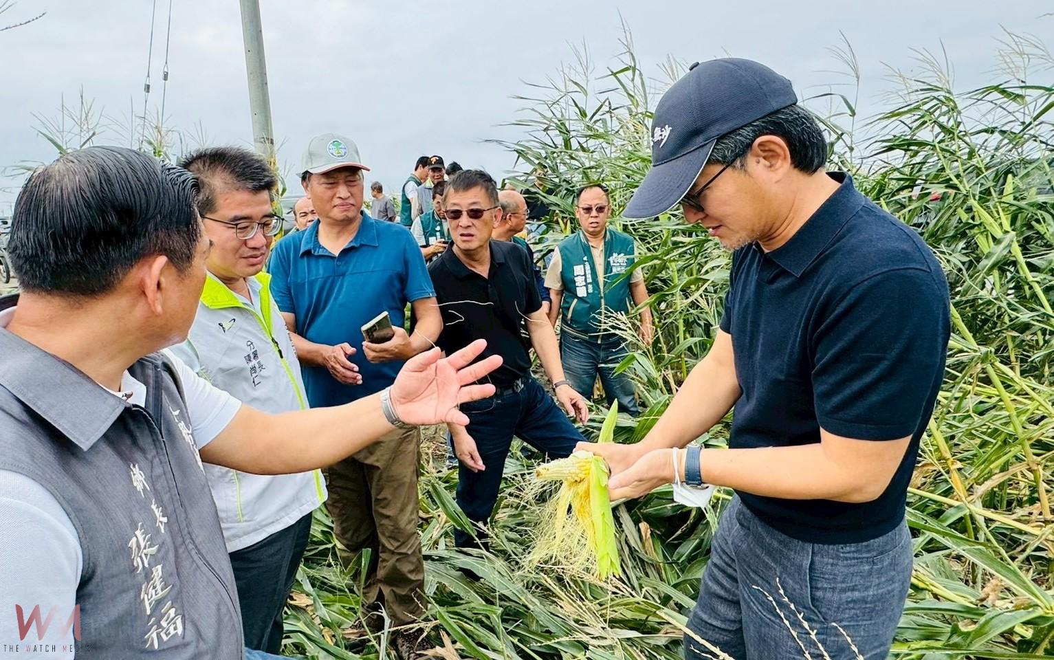 強風吹倒玉米田大片倒伏　劉建國要求中央速發救助金 - https://www.watchmedia01.com