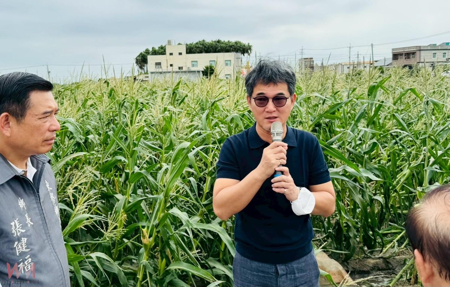 強風吹倒玉米田大片倒伏　劉建國要求中央速發救助金 - https://www.watchmedia01.com
