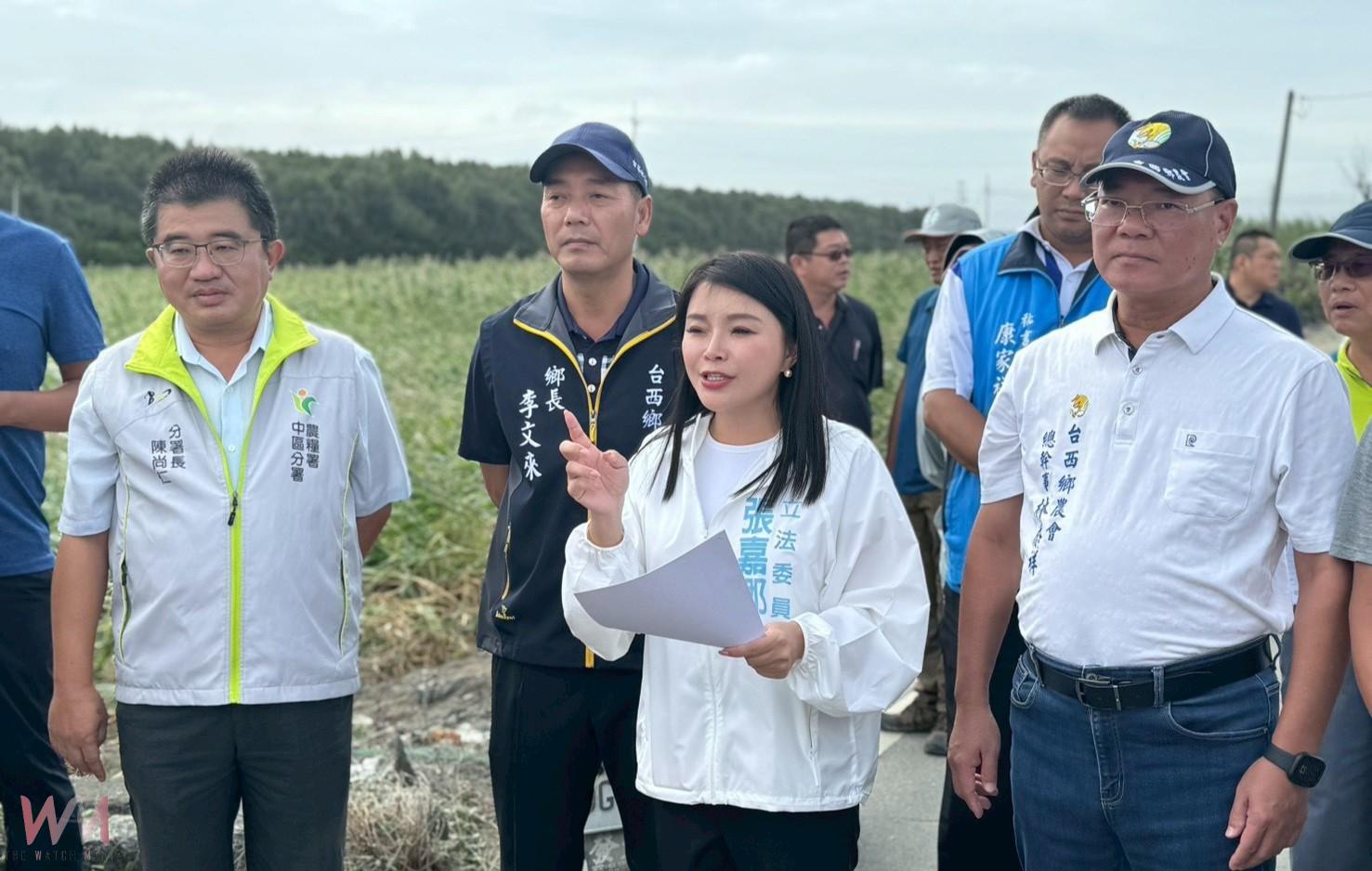 雲林沿海玉米田遭強風重創　張嘉郡、丁學忠促中央啟動救助 - https://www.watchmedia01.com