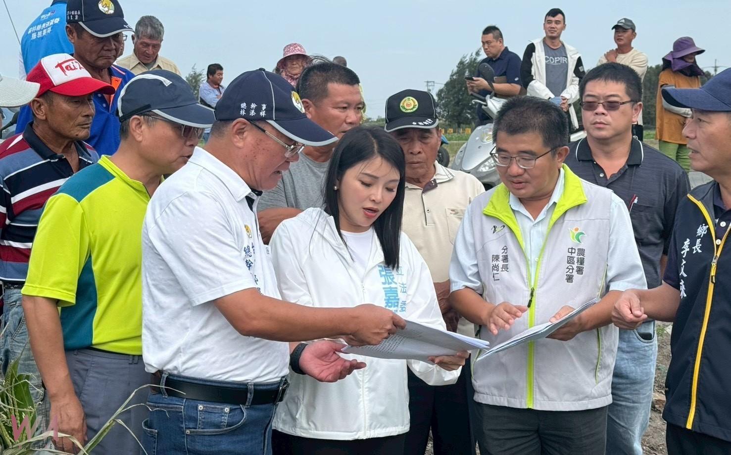 雲林沿海玉米田遭強風重創　張嘉郡、丁學忠促中央啟動救助 - https://www.watchmedia01.com