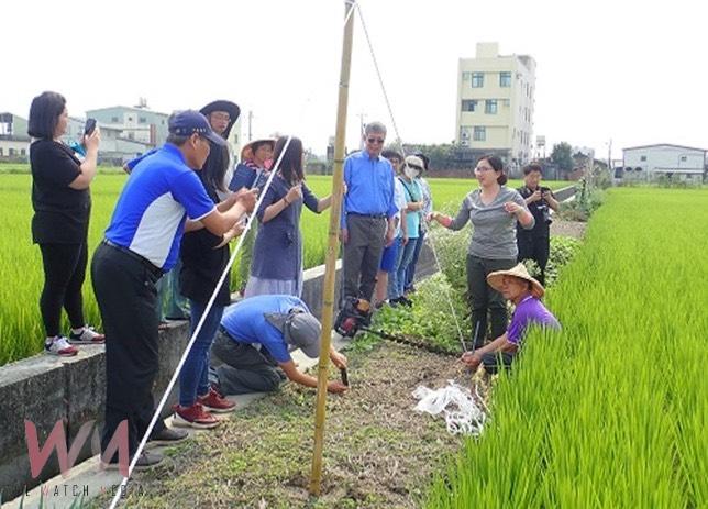 黑翅鳶引領霧峰飛向國際 以生態農業獲IPSI精選案例肯定 - https://www.watchmedia01.com