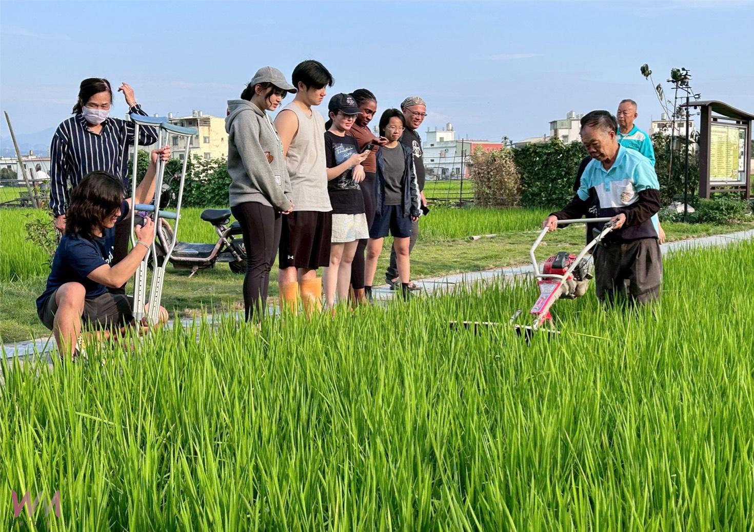 黑翅鳶引領霧峰飛向國際 以生態農業獲IPSI精選案例肯定 - https://www.watchmedia01.com