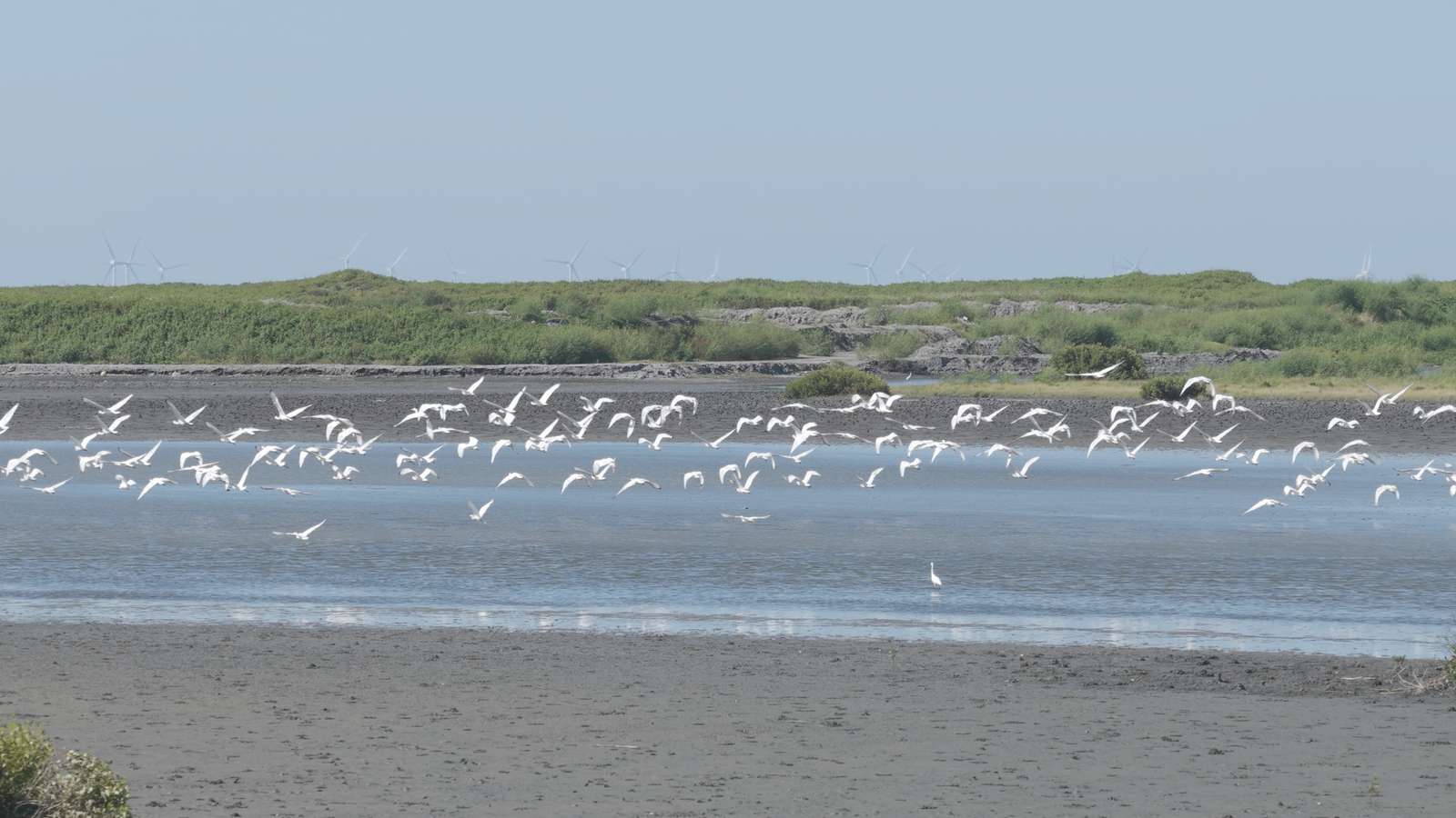 沃旭能源論壇:離岸風電助台邁向淨零 永續共生展現成果 - https://www.watchmedia01.com